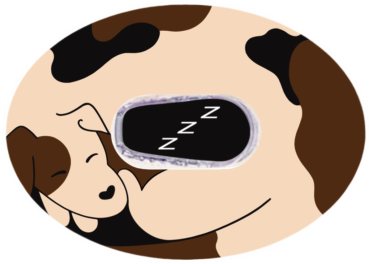 Dog Patches