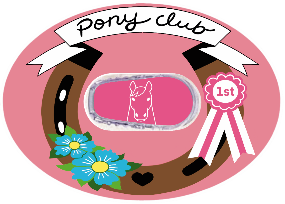 Pony Club Patches