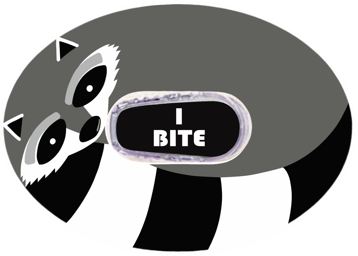 Raccoon Patches