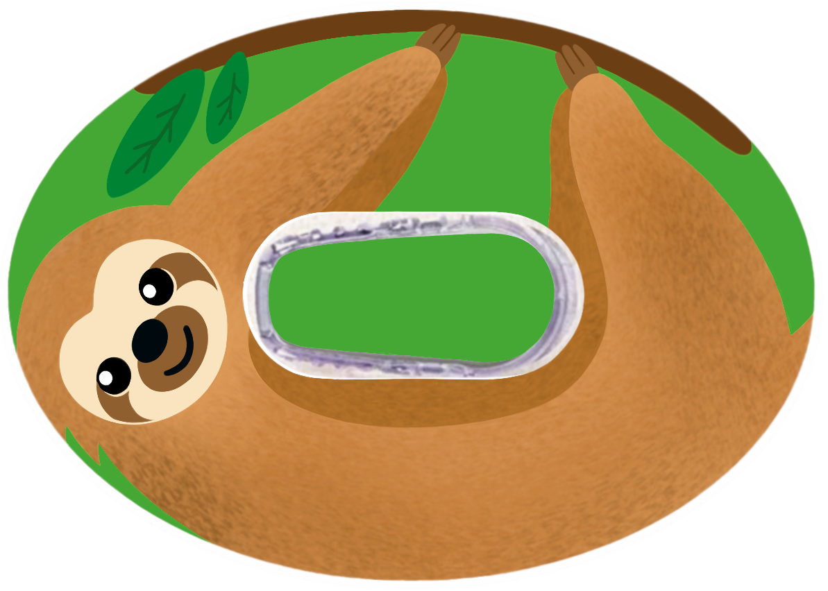 Sloth Patches