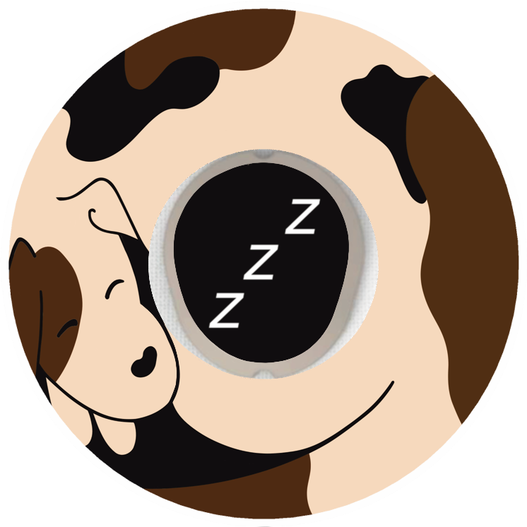 Dog Patches