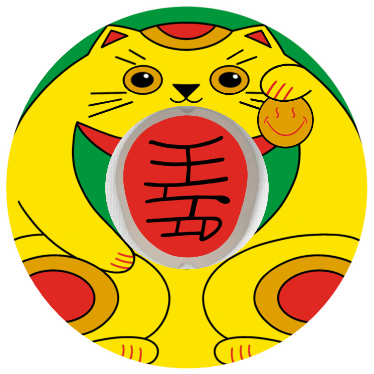 Lucky Money Cat