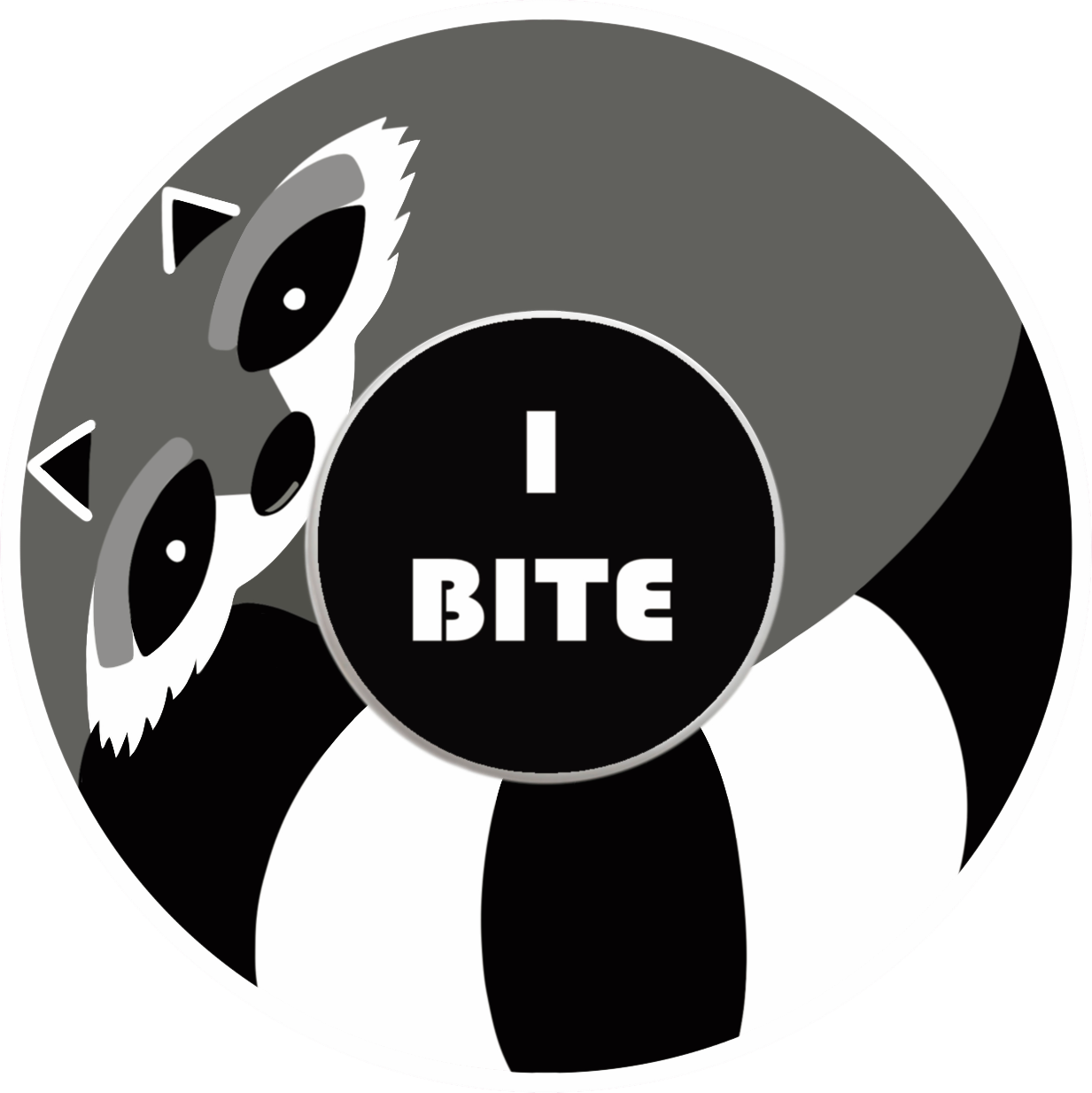Raccoon Patches