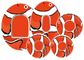 Clown Fish Stickers