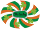 Be Lucky St Patrick’s Day CGM Patch for Dexcom G6 Horizontal – Irish Flag Shamrock Overlay Sticker by SmileSensors