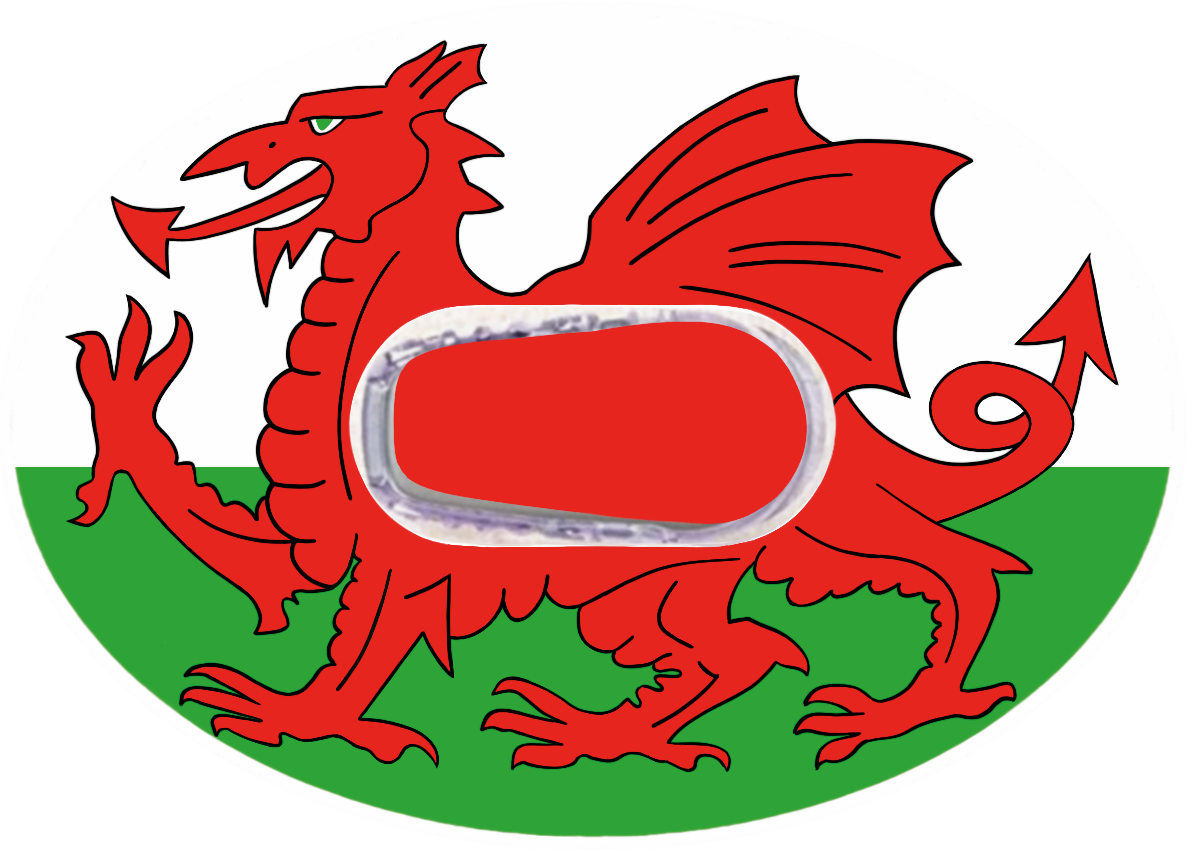 Wales CGM patch for Dexcom G6 Horizontal | SmileSensors