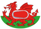 Wales CGM patch for Dexcom G6 Horizontal | SmileSensors