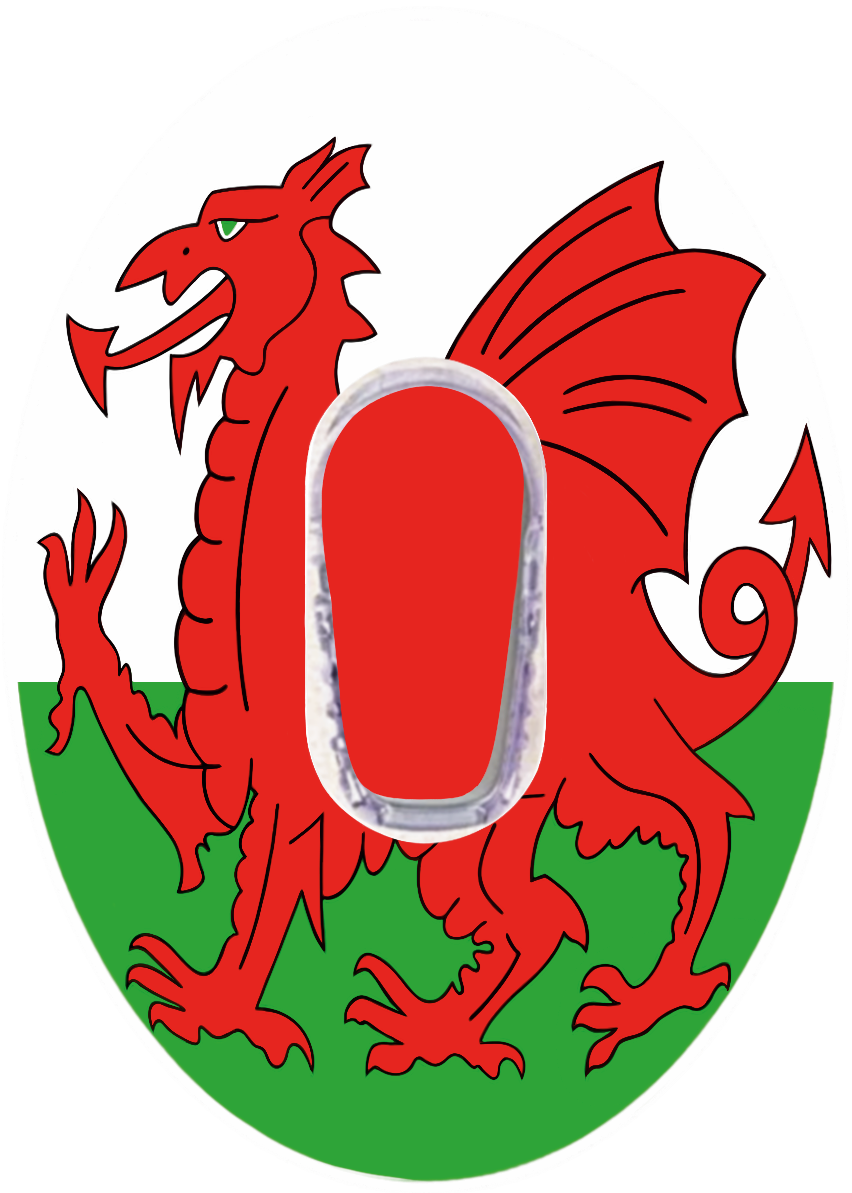 Wales CGM patch for Dexcom G6 Vertical | SmileSensors