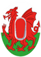 Wales CGM patch for Dexcom G6 Vertical | SmileSensors