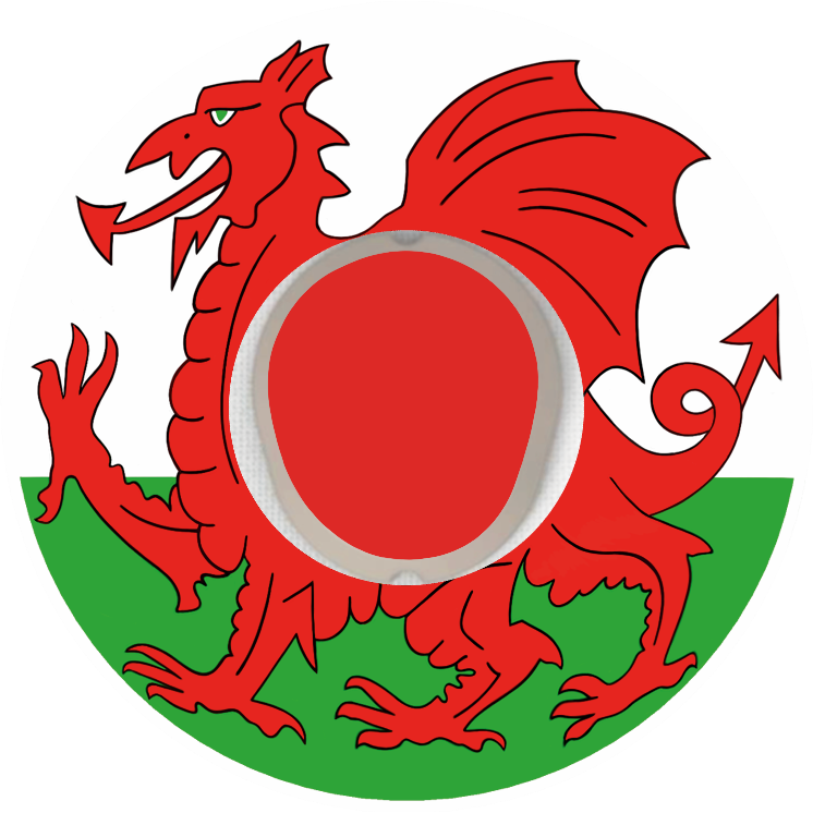 Wales CGM patch for Dexcom G7 | SmileSensors