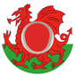 Wales CGM patch for Dexcom G7 | SmileSensors