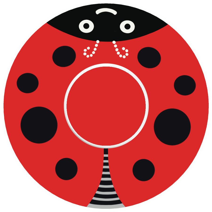 Ladybug Patches